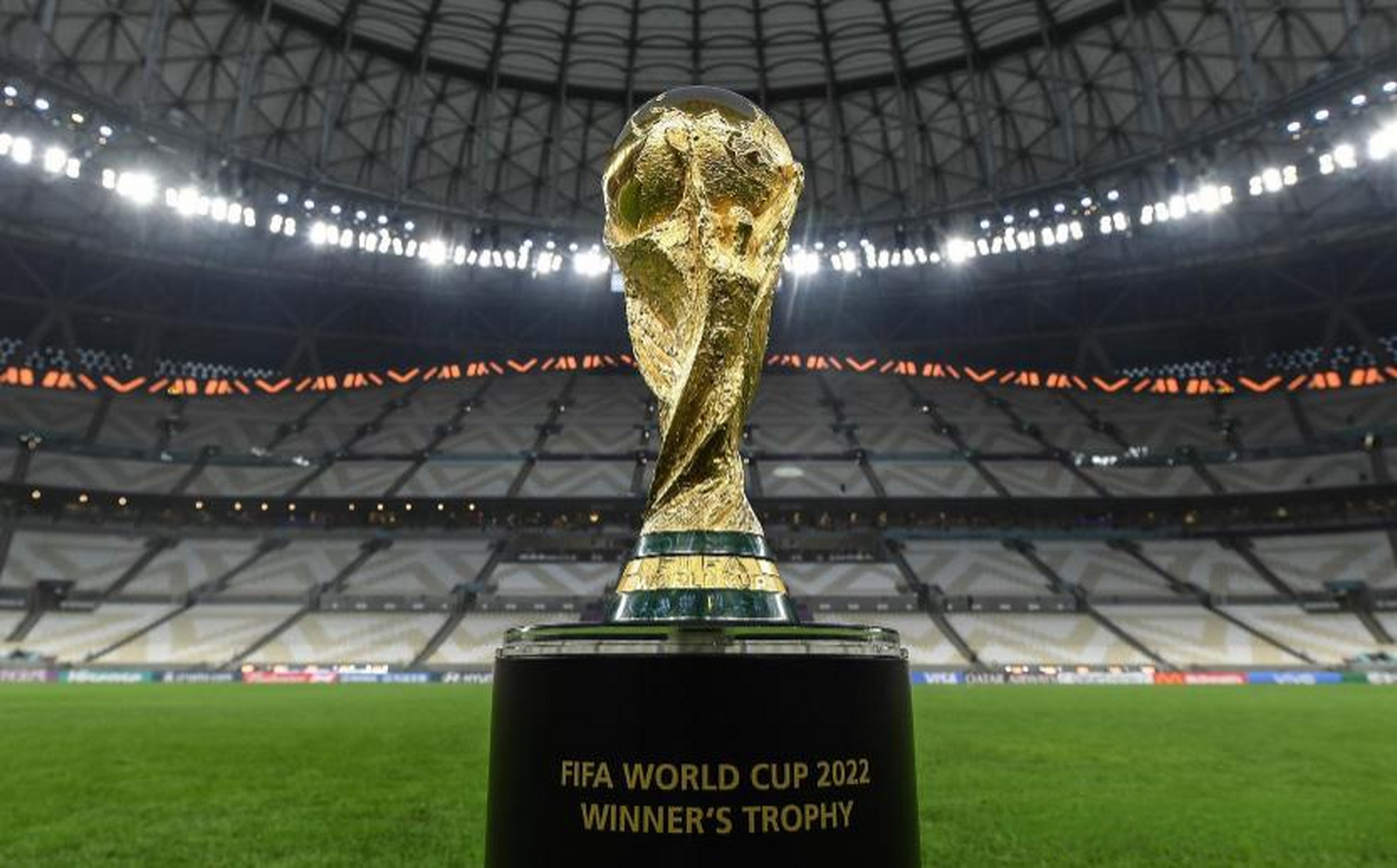 分钟建立野 分钟建立野